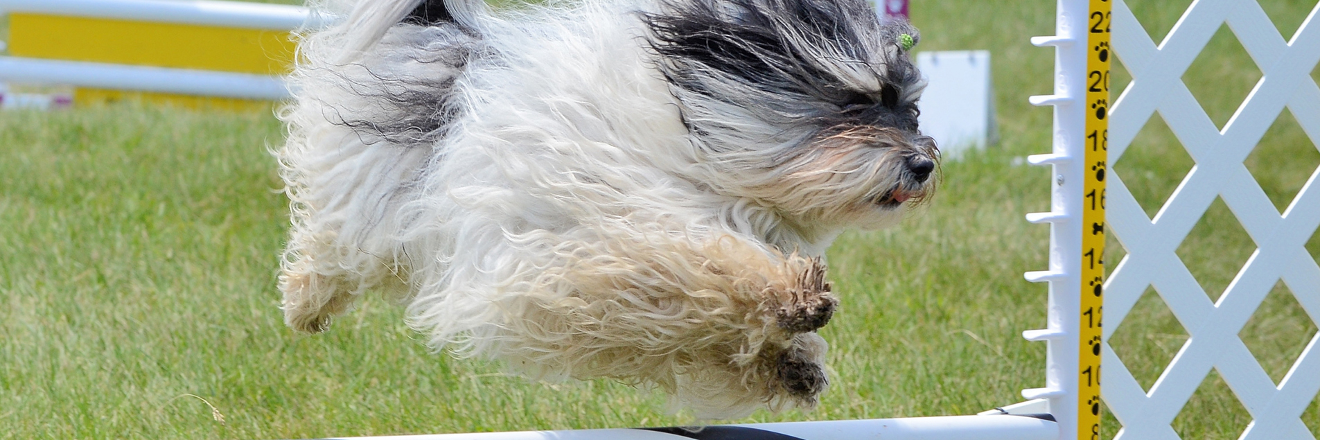 NEW Attractions & Activities for 2026