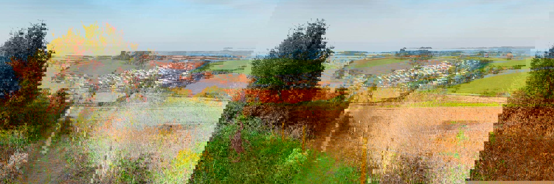 Dog-Friendly Parks Operated by Newmans